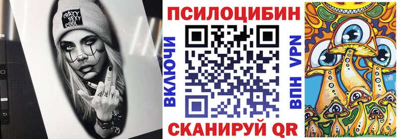 мега ТОР Новая Ладога Псилоцибиновые грибы мицелий закладка